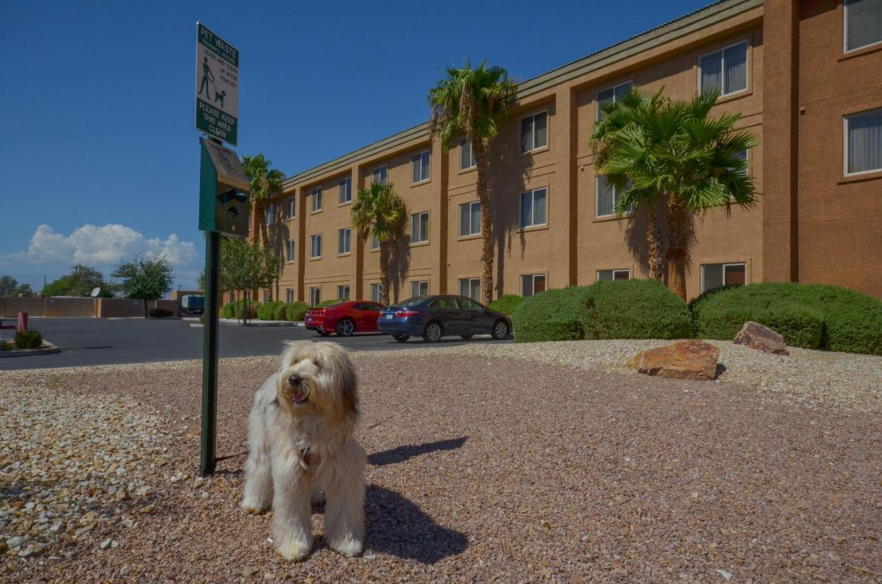 Express Vegas-nellis 3*