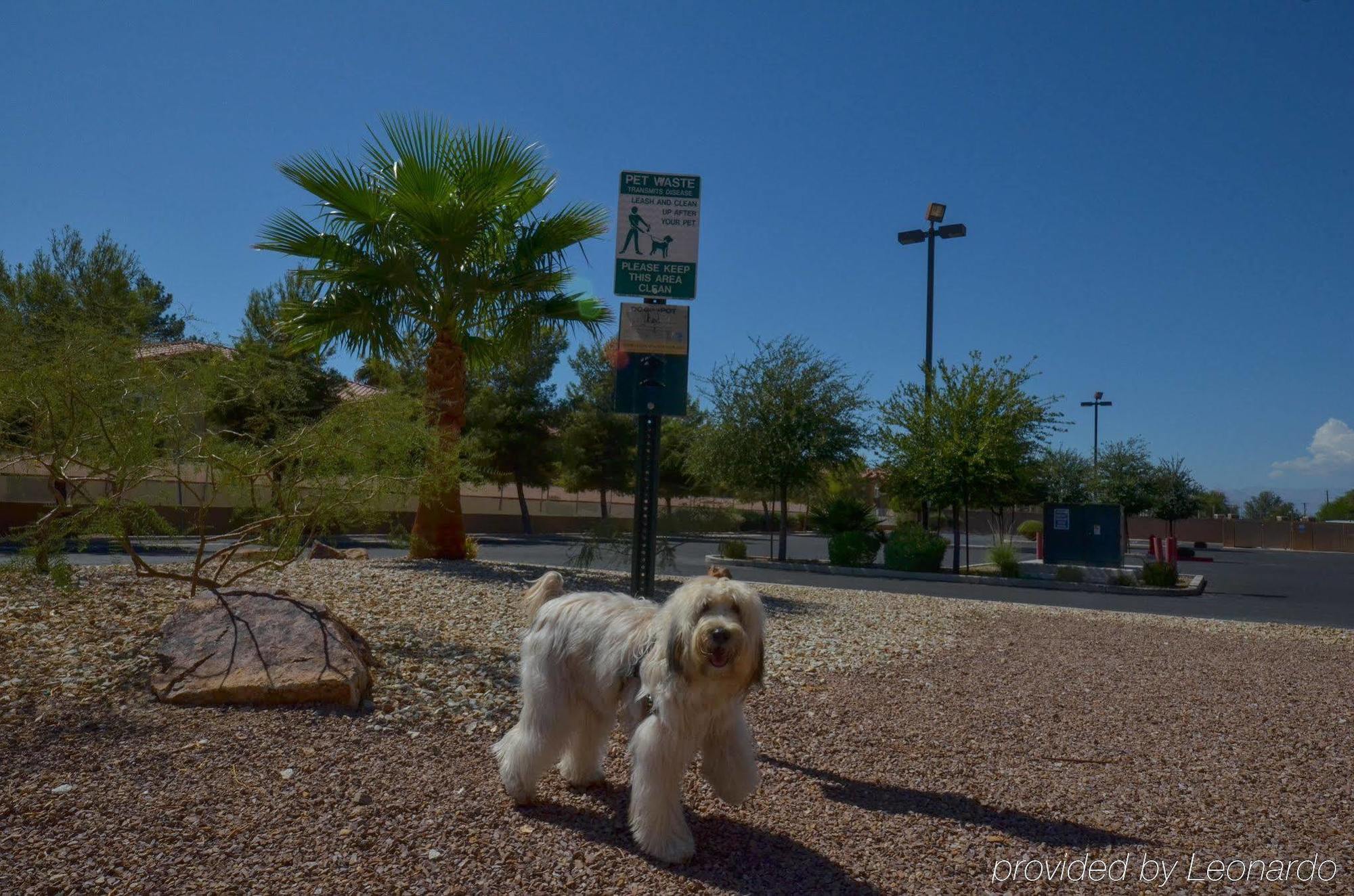 Hotel Express Vegas-nellis